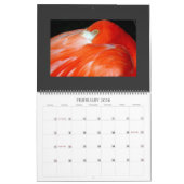 CALENDRIER MURAL IMG_1311, CALENDER 2008 (Feb 2026)