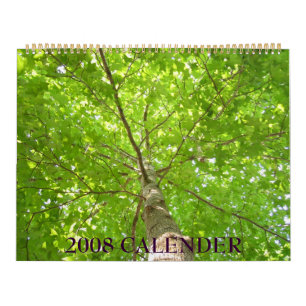 CALENDRIER MURAL IMG_1311, CALENDER 2008