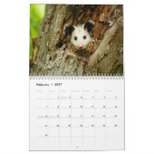 Calendrier mural impressionnant d'opossum (Feb 2027)