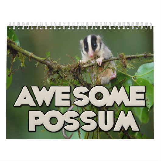 Calendrier mural impressionnant d'opossum (Protection)