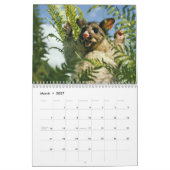 Calendrier mural impressionnant d'opossum (Mar 2027)