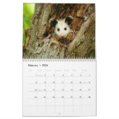 Calendrier mural impressionnant d'opossum (Feb 2026)