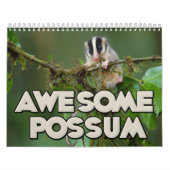 Calendrier mural impressionnant d'opossum (Protection)