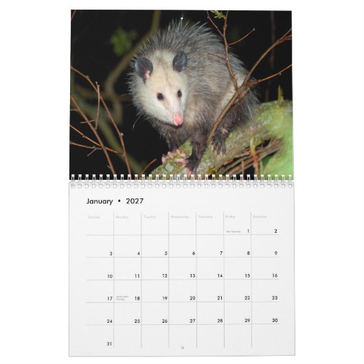 Calendrier mural impressionnant d'opossum (Jan 2027)