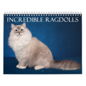 Calendrier mural incroyable de Ragdolls (Protection)