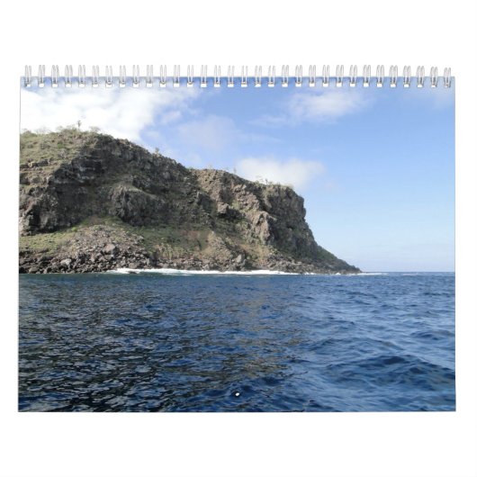 Calendrier Mural Islands of Tortues d'eau douce (Protection)