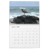 Calendrier Mural Islands of Tortues d'eau douce (Jan 2026)