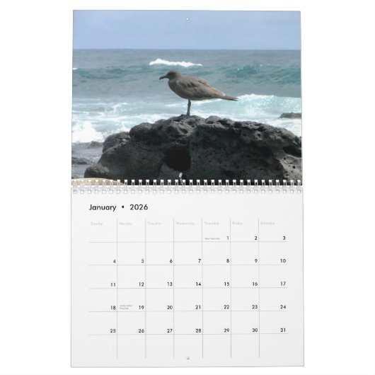 Calendrier Mural Islands of Tortues d'eau douce (Jan 2026)