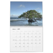 Calendrier Mural Islands of Tortues d'eau douce (Mar 2027)