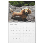 Calendrier Mural J'aime les teckels miniatures de longs cheveux (Mar 2026)