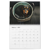 Calendrier Mural J'aime les teckels miniatures de longs cheveux (Feb 2027)