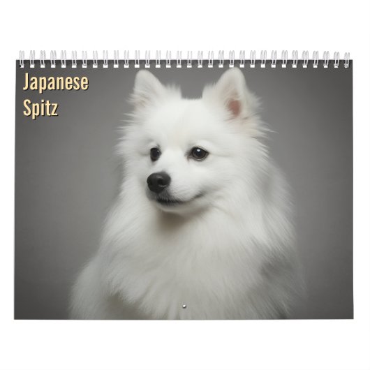 Calendrier mural Japanese Spitz 2027 (Protection)