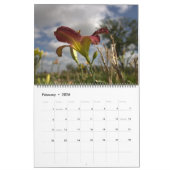 Calendrier Mural Jardin Lily 2023 (Feb 2026)