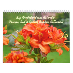 Calendrier Mural Jaune orange rouge de rhododendrons de Rhodies