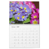Calendrier Mural Jolies culottes et primroses (Jan 2027)