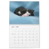 Calendrier Mural Jouer dans les marguerites, 2011 Cuties (Mar 2026)