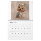 Calendrier Mural Jouer dans les marguerites, 2011 Cuties (Feb 2026)