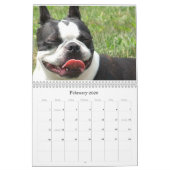 Calendrier Mural Joueur de pipeau et Pinocchio 2009 (Feb 2026)