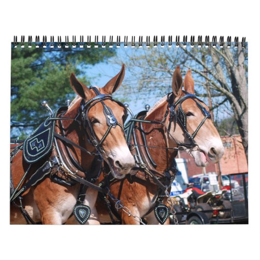 CALENDRIER MURAL JOURS MULE (Protection)