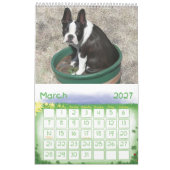 Calendrier Mural Juste Bostons (Mar 2027)