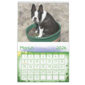 Calendrier Mural Juste Bostons (Mar 2026)