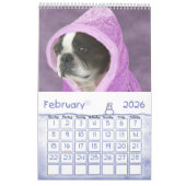 Calendrier Mural Juste Bostons (Feb 2026)