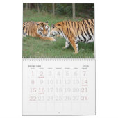 Calendrier Mural khan-n-china010, Shere Khan et la Chine Dollthe B… (Feb 2026)