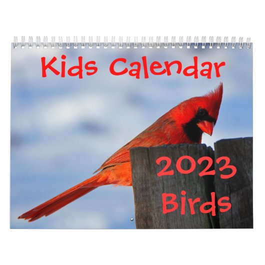 Calendrier Mural Kids Calendar - 2023 - Birds (Protection)
