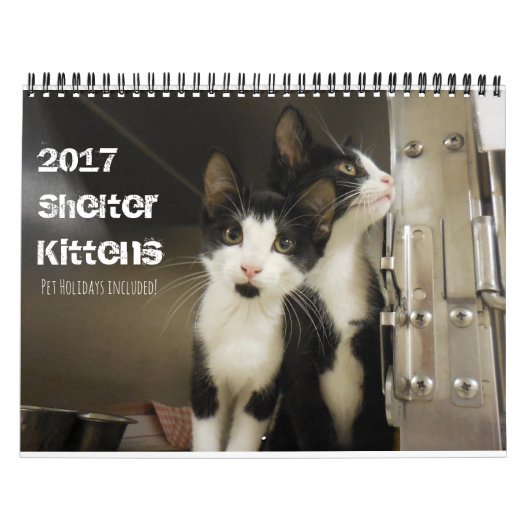 Calendrier Mural Kittens 2017 (Protection)