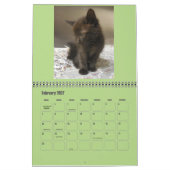 Calendrier Mural Kittens 2017 (Feb 2027)