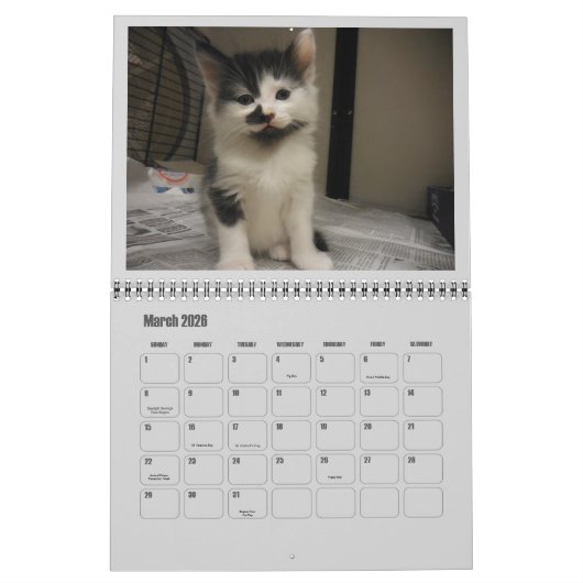 Calendrier Mural Kittens 2017 (Mar 2026)