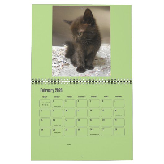 Calendrier Mural Kittens 2017 (Feb 2026)