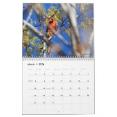 Calendrier Mural La beauté 2010 de la nature (Mar 2026)