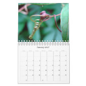 Calendrier Mural La beauté de la nature (Jan 2027)