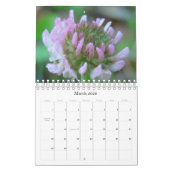 Calendrier Mural La beauté de la nature (Mar 2026)