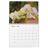 Calendrier Mural La beauté des orchidées (Feb 2027)