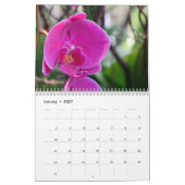 Calendrier Mural La beauté des orchidées (Jan 2027)