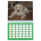 Calendrier Mural La première année de Kosmo (Mar 2027)