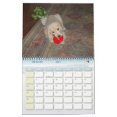 Calendrier Mural La première année de Kosmo (Feb 2027)