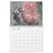 Calendrier Mural La vie est belle (Mar 2026)