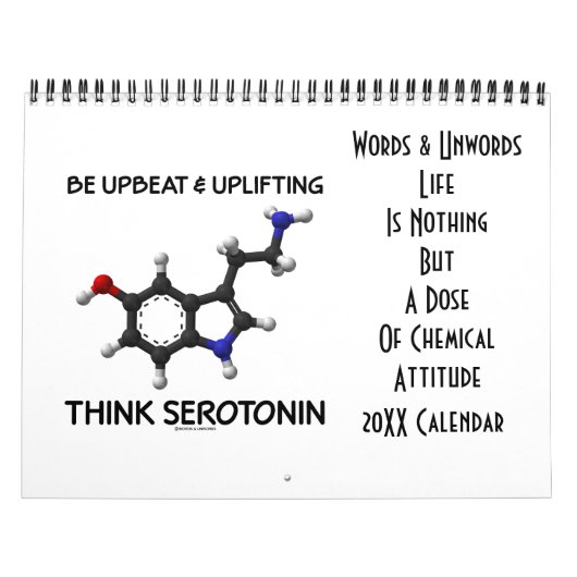 Calendrier Mural La vie n'est rien mais l'attitude chimique 20XX (Protection)