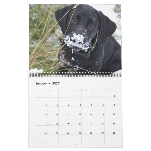 Calendrier Mural Laboratoires de chasse (Jan 2027)