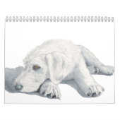 Calendrier Mural Labradoodles (Protection)