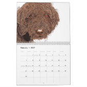 Calendrier Mural Labradoodles (Feb 2027)