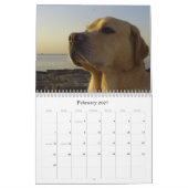 Calendrier Mural Labrador 2009 (Feb 2027)