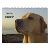Calendrier Mural Labrador 2009 (Protection)