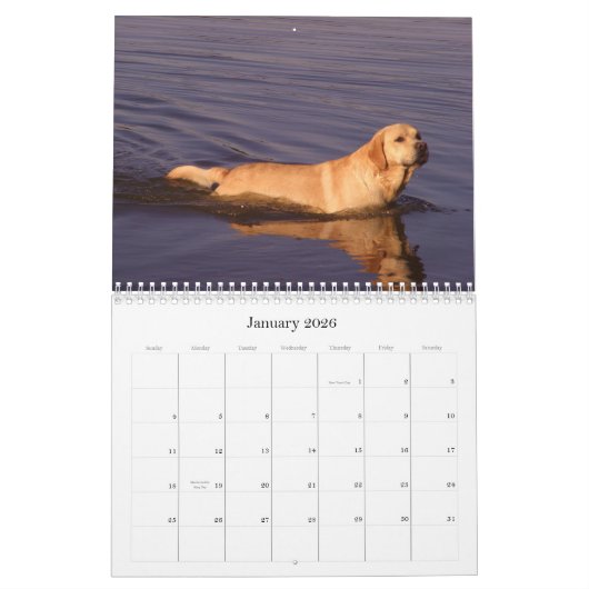 Calendrier Mural Labrador 2009 (Jan 2026)