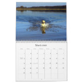 Calendrier Mural Labrador 2009 (Mar 2026)