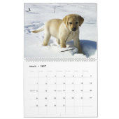 Calendrier Mural Labrador Retriever Calender (Mar 2027)