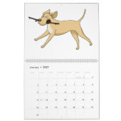 Calendrier Mural Labrador Retriever Calender (Jan 2027)